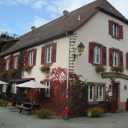Hôtel du Haut Koenigsbourg - calme et nature Thannenkirch Exterior foto