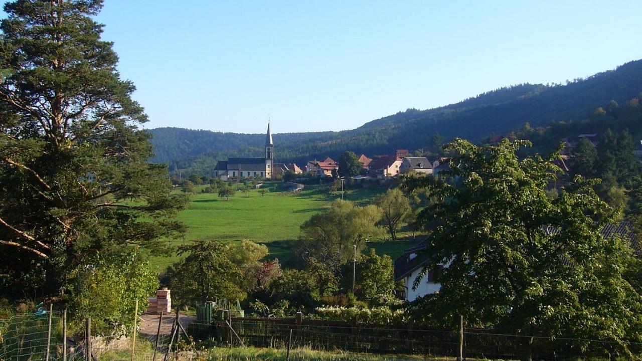 Hôtel du Haut Koenigsbourg - calme et nature Thannenkirch Exterior foto