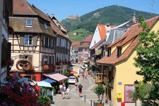 Hôtel du Haut Koenigsbourg - calme et nature Thannenkirch Exterior foto