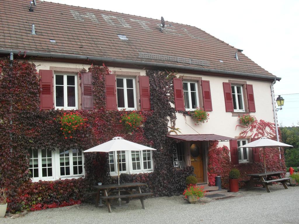 Hôtel du Haut Koenigsbourg - calme et nature Thannenkirch Exterior foto